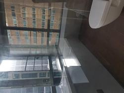 Skysuites@Anson (D2), Apartment #211089131